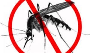 Kota Tanjungpinang dan Batam Terima Sertifikat Eliminasi Malaria Kota Tanjungpinang dan Batam Terima Sertifikat Eliminasi Malaria