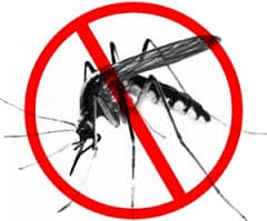 Kota Tanjungpinang dan Batam Terima Sertifikat Eliminasi Malaria Kota Tanjungpinang dan Batam Terima Sertifikat Eliminasi Malaria