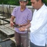 Sosialisasi Budidaya Ikan Air Tawar di Ikuti 70 Peserta