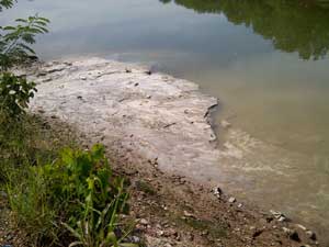 PT Jutam Readymix Concrete Acuhkan Surat Panggilan Bapedal Batam