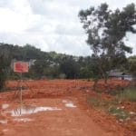 Walikota Tanjungpinang, H. Lis Darmansyah. SH Akan Berikan Sanksi Kepada Penimbun Hutan Mangrove