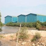 PT Kim Seah Shipyard Lakukan Penimbunan Hutan Mangrove PT Kim Seah Shipyard Lakukan Penimbunan Hutan Mangrove