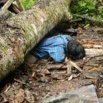 Warga Pariaman Tewas Tertimpa Pohon