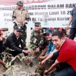 Cegah Abrasi Lanal Tanjung Balai Karimun Tanam 1000 Bibit Manggorove di Costal Area