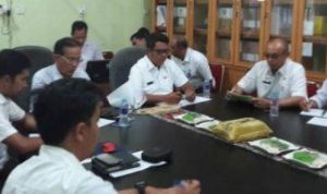 PLN Akan Bangun Mobile Power Plant 30 MW di Kijang