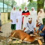 400 Ekor Hewan Kurban Beredar di Kabupaten Bintan 400 Ekor Hewan Kurban Beredar di Kabupaten Bintan