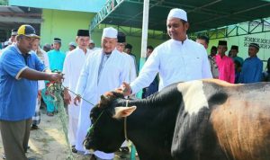 Bupati dan Wakil Bupati Bintan Serahkan Hewan Qurban Bupati dan Wakil Bupati Bintan Serahkan Hewan Qurban