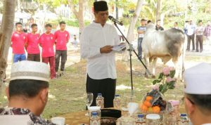 Polda Kepri Qurban 13 Ekor Sapi dan 4 Ekor Kambing Polda Kepri Qurban 13 Ekor Sapi dan 4 Ekor Kambing