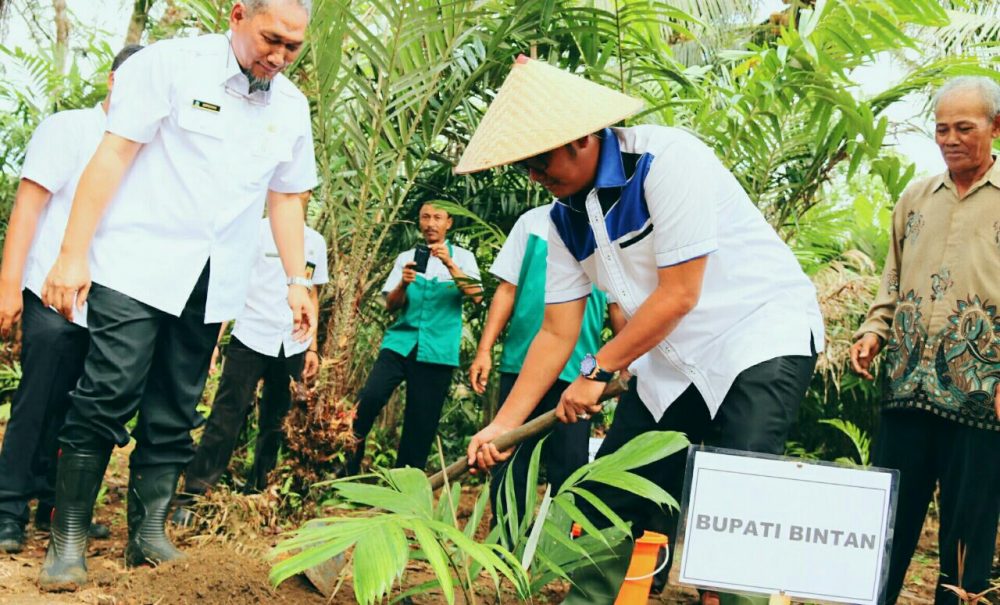 Desa Lancang Kuning Sebagai Sentra Agro Wisata Salak Sari Intan