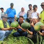 Panen Semangka, Bupati Bintan Gelar Tasyakuran Bersama Masyarakat Panen Semangka, Bupati Bintan Gelar Tasyakuran Bersama Masyarakat