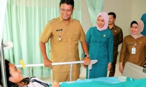 Penghargaan Kabupaten Sehat Tingkat Nasional Tahun 2017 Kembali Diraih Kabupaten Bintan
