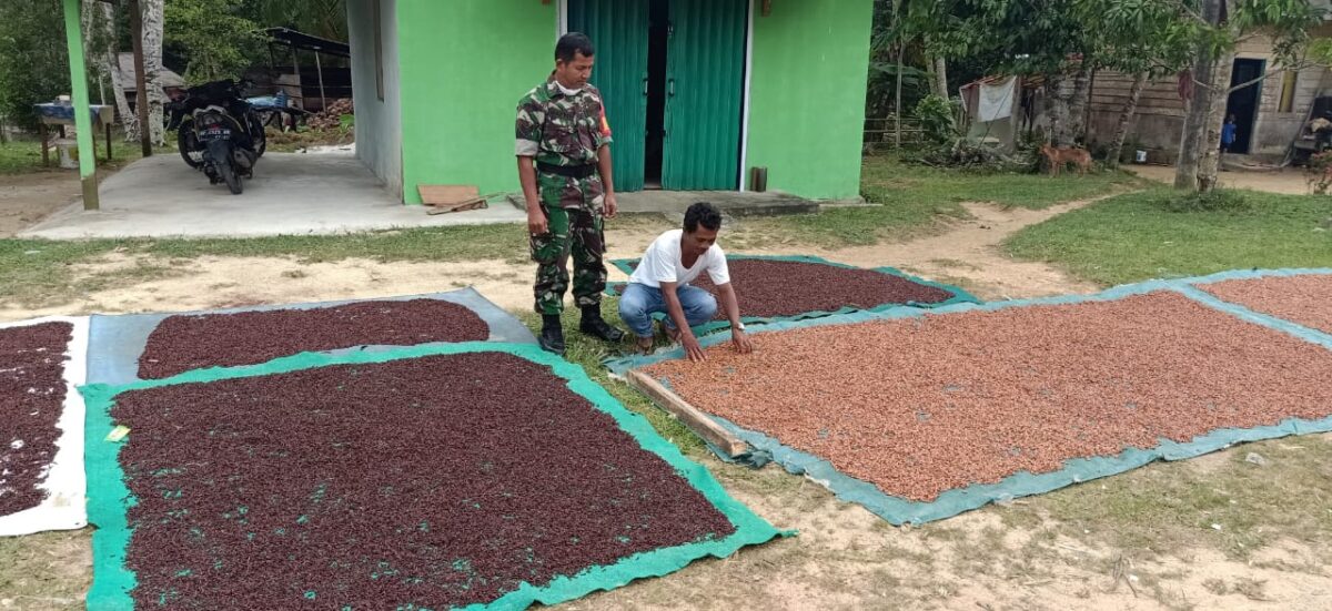 Serka Rapius Ingatkan Warga Binaannya, Utamakan Keselamatan Saat Memanjat Pohon Cengkeh Serka Rapius Ingatkan Warga Binaannya, Utamakan Keselamatan Saat Memanjat Pohon Cengkeh