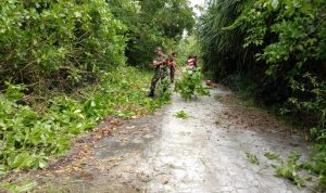 Sertu Saroji, Bersama Warga Desa Terayak Goro Bersihkan Jalan
