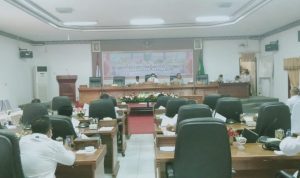 Tingkatkan Upaya Memutus Rantai Covid-19, DPRD Natuna Gelar Audensi Bersama RSUD