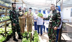 Lantamal IV dan Korcab IV DJA I Gelar Panen Raya Ketahanan Pangan Peduli Covid-19