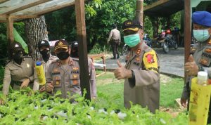 Jaga Ketahanan Pangan, Polres Lingga Budidaya Lele, Hidroponik dan Berkebun Jagung Jaga Ketahanan Pangan, Polres Lingga Budidaya Lele, Hidroponik dan Berkebun Jagung