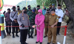 Wakil Bupati Kepulauan Anambas Resmikan Desa Tiangau Sebagai Kampung Tangguh Nusantara