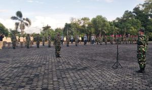 Danlantamal IV Tanjungpinang Pimpin Apel Khusus Danlantamal IV Tanjungpinang Pimpin Apel Khusus