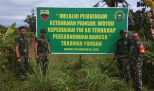 Dongkrak Ketahanan Pangan di Tengah Pandemi Covid-19, Koramil 06/Serasan Manfaatkan Lahan Tidur