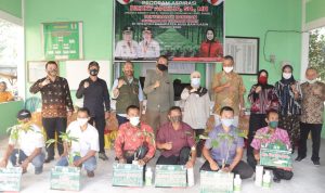 Kelompok Tani Karet Babat Toman Terima 15.000 Batang Bibit Karet