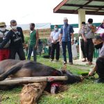 Hari Raya Idul Adha 1441 H, Polres Bintan Sembelih 4 Ekor Sapi dan 2 Ekor Kambing Hari Raya Idul Adha 1441 H, Polres Bintan Sembelih 4 Ekor Sapi dan 2 Ekor Kambing