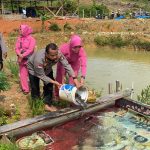 Gelar Panen Raya Ketahanan Pangan Polres Kepulauan Anambas di Bidang Budidaya Ikan Dalam Rangka Dukung Perekonomian Nasional Gelar Panen Raya Ketahanan Pangan Polres Kepulauan Anambas di Bidang Budidaya Ikan Dalam Rangka Dukung Perekonomian Nasional