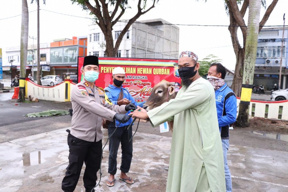 Polres Karimun Laksanakan Penyembelihan Hewan Qurban 3 Ekor Sapi dan 5 Ekor Kambing Polres Karimun Laksanakan Penyembelihan Hewan Qurban 3 Ekor Sapi dan 5 Ekor Kambing