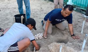 Kapolres Anambas Bersama Jajaran PJU dan Sekda KKA  Tinjau Penangkaran Penyu Pulau Pahat