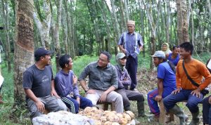 Dari Petani Karet Muba Untuk Sumatera Hingga Ketahanan Indonesia