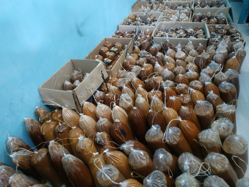 Pemasaran Gula Aren BUMdes Payak, Butuh Perhatian Pemerintah Daerah