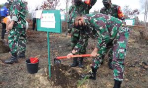 Pembinaan Lingkungan Hidup, Kodim 0315/Bintan Tanam 5.500 Bibit Pohon di Desa Lancang Kuning Bintan Pembinaan Lingkungan Hidup, Kodim 0315/Bintan Tanam 5.500 Bibit Pohon di Desa Lancang Kuning Bintan