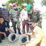 Babinsa Sertu Parsimin dan Serda Hendry, Turut Aktif Dalam Menjaga Kelestarian Penyu Babinsa Sertu Parsimin dan Serda Hendry, Turut Aktif Dalam Menjaga Kelestarian Penyu