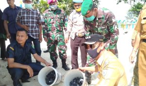 Babinsa Sertu Parsimin dan Serda Hendry, Turut Aktif Dalam Menjaga Kelestarian Penyu Babinsa Sertu Parsimin dan Serda Hendry, Turut Aktif Dalam Menjaga Kelestarian Penyu