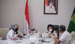 Jadi Narasumber Webinar Nasional, Thia Yufada Pamerkan Gambo Muba Jadi Narasumber Webinar Nasional, Thia Yufada Pamerkan Gambo Muba