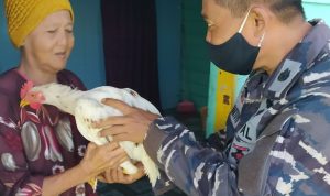 Lanal Tarempa Bagi-Bagi Hasil Ternak Ayam Ketahanan Pangan