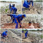 Komandan KP. YUDISTIRA-8003, Pimpin Kegiatan Bersih Pantai dan Penanaman Bibit Pohon Mangrove
