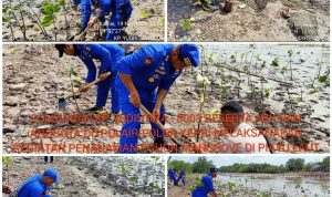 Komandan KP. YUDISTIRA-8003, Pimpin Kegiatan Bersih Pantai dan Penanaman Bibit Pohon Mangrove Komandan KP. YUDISTIRA-8003, Pimpin Kegiatan Bersih Pantai dan Penanaman Bibit Pohon Mangrove