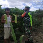 Komsos Dengan Petani Binaan, Kopda Edi : Pangan Adalah Hal Penting Bagi Kehidupan Manusia