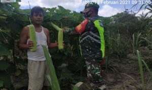 Komsos Dengan Petani Binaan, Kopda Edi : Pangan Adalah Hal Penting Bagi Kehidupan Manusia