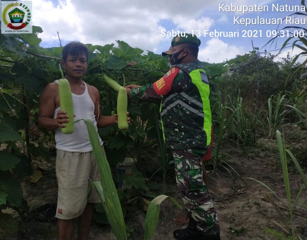 Komsos Dengan Petani Binaan, Kopda Edi : Pangan Adalah Hal Penting Bagi Kehidupan Manusia Komsos Dengan Petani Binaan, Kopda Edi : Pangan Adalah Hal Penting Bagi Kehidupan Manusia