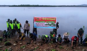 Kegiatan Non Fisik TMMD Ke-110, Kodim 0318/Natuna Tanam Pohon Mangrove Kegiatan Non Fisik TMMD Ke-110, Kodim 0318/Natuna Tanam Pohon Mangrove