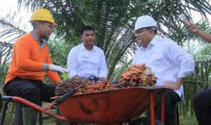 BPDP-KS Abadikan Keberhasilan Joko Widodo – Dodi Reza BPDP-KS Abadikan Keberhasilan Joko Widodo – Dodi Reza