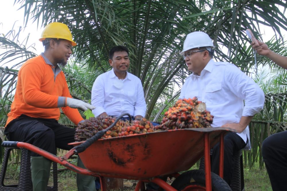 BPDP-KS Abadikan Keberhasilan Joko Widodo – Dodi Reza
