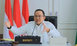 Dodi Reza Jadi Narasumber Webinar Sharing Knowledge Pinjaman Daerah