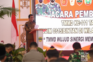 Gubernur Ansar Apresiasi TMMD TNI-AD