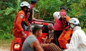 Tidak Pulang Saat Mencari Madu, Jawasan Ditemukan Dalam Kondisi Meninggal Dunia Tidak Pulang Saat Mencari Madu, Jawasan Ditemukan Dalam Kondisi Meninggal Dunia