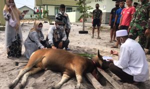 Idul Adha 1442 H/2021 M, Yon Komposit 1/GP Gelar Penyembelihan 13 Ekor Sapi Qurban Idul Adha 1442 H/2021 M, Yon Komposit 1/GP Gelar Penyembelihan 13 Ekor Sapi Qurban