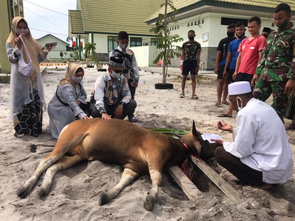 Idul Adha 1442 H/2021 M, Yon Komposit 1/GP Gelar Penyembelihan 13 Ekor Sapi Qurban