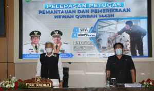 Jelang Hari Raya Qurban, Pemprov Sebar Petugas Pemeriksa Kesehatan Hewan ke Kabupaten/Kota