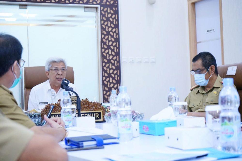 Wagub “Warning” SKPD Provinsi dan Kabupaten/kota Kebut Realisasi DAK TA 2021
